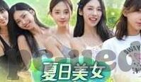 mk体育app曼联赞助-足球与科技的融合，MK体育APP与曼联赞助的新篇章