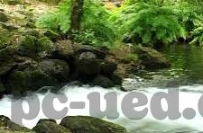 足球动画比分直播软件-足球迷的福音，揭秘那些让你身临其境的足球动画比分直播软件